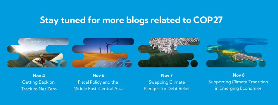 Upcoming COP27 blogs