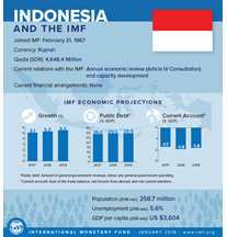 Indonesia country infographics