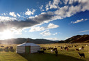 Mongolia pastoral 