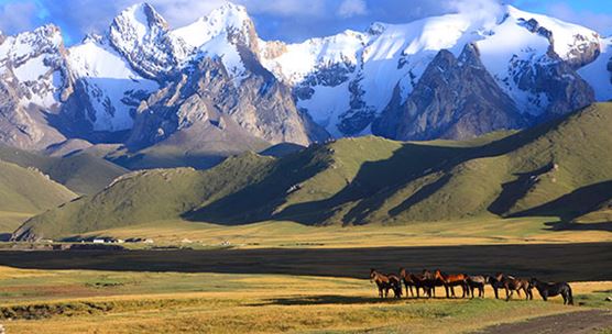 Кони на пастбище, Кыргызская Республика (фото: extremal/iStock by Getty Images).