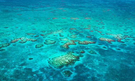Ambergris Caye, Belize. The country's barrier reef face multiple threats to its survival. (Credit: Mlenny/iStock by Getty Images)