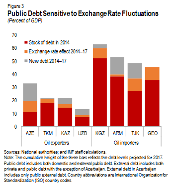 Public Debt Sensitive to Exchange Rate Fluctuations 