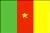 Cameroon flag