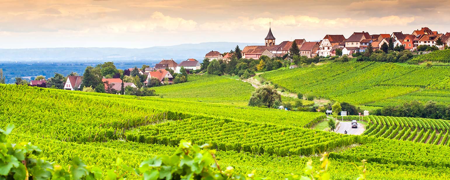 Vineyards and a small village in Alsace, France
