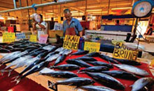 Fish market in Brunei.
