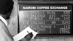 Empresarios kenianos han iniciado la primera subasta de caf por Internet de frica oriental.