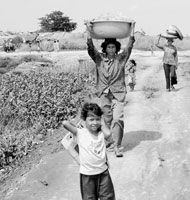 Los agricultores de Camboya, uno de los pases habilitados para el SCLP, estn sufriendo la peor sequa de los ltimos aos.